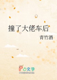 撞了大佬车后撞了大佬车后